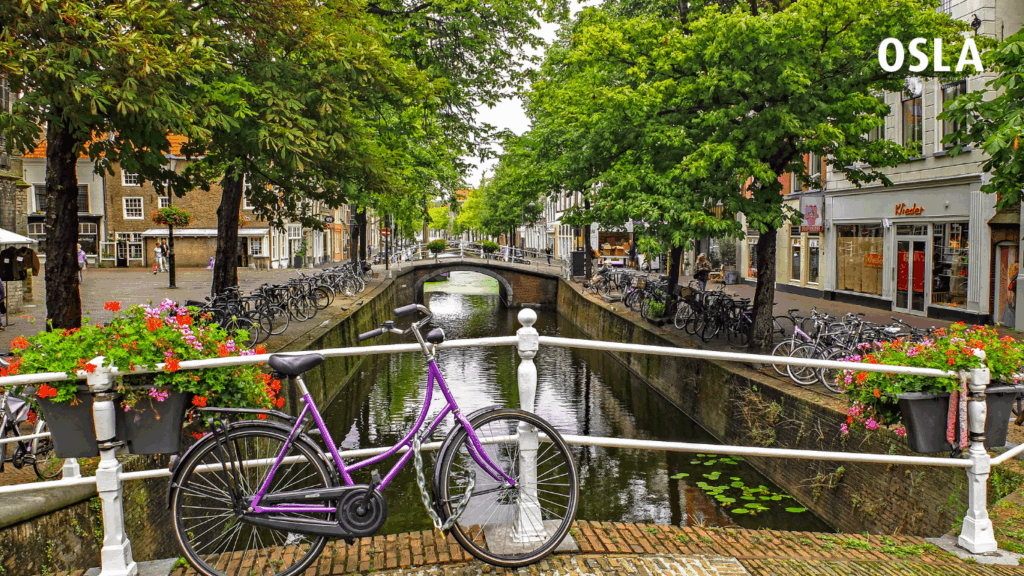 Thông tin học bổng Hà Lan năm 2022