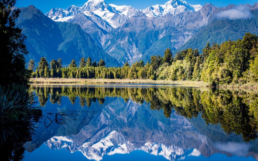 Top các trường đại học hàng đầu New Zealand (2021-2022).