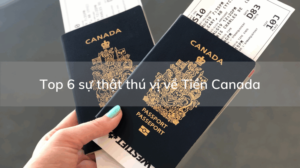 Tiền Canada và top 6 sự thật thú vị bạn có thể chưa biết