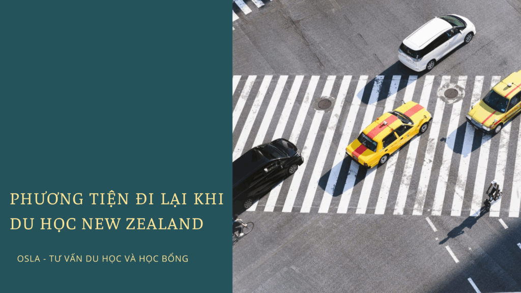 Phương tiện đi lại khi du học tại New Zealand 2022